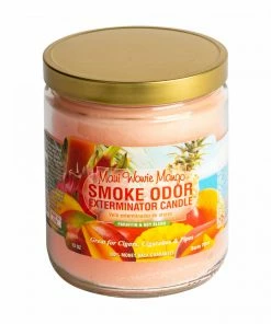 West Coast Gifts Smoke Odor 13oz Exterminator Candles 62 West Coast Gifts Smoke Odor 13oz Exterminator Candles