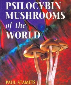 BOB Headquarters Psilocybin Mushrooms Of The World - By Paul Stamets New Arrivals