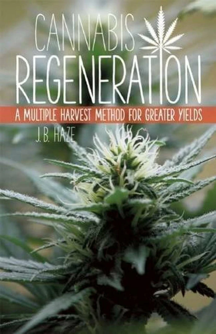 BOB Headquarters Cannabis Regeneration: A Multiple Harvest Method For Greater Yields By JB Haze 1 BOB Headquarters Cannabis Regeneration: A Multiple Harvest Method For Greater Yields By JB Haze