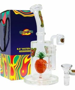 Maple Craft Inc. New Arrivals 8.5" Fruit Perc Waterpipe/ Dab Rig By Ganjavibes