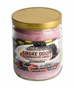 West Coast Gifts Smoke Odor 13oz Exterminator Candles 58 West Coast Gifts Smoke Odor 13oz Exterminator Candles