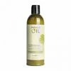 BOB Headquarters Earthly Body Miracle Oil Shampoo & Conditioners