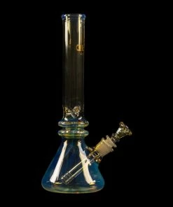 West Coast Gifts GEAR Premium 12