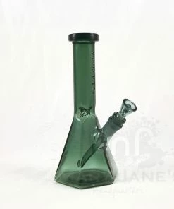 West Coast Gifts Red Eye Tek 10