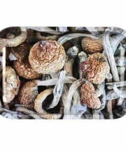 BOB Headquarters Pulsar Ballin' Metal Rolling Tray