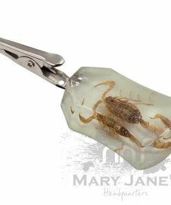 West Coast Gifts Glow-in-the-Dark Bug Roach Clips
