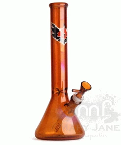 West Coast Gifts Red Eye Glass 12" Beaker Bong W/ Ice Pinch
