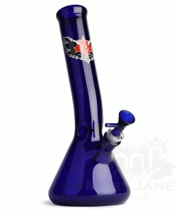 West Coast Gifts Red Eye Glass 12" Tall Layback Beaker Tube