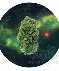 West Coast Gifts My Dab Mats Trays