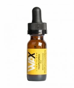West Coast Gifts New Arrivals Wax Liquidizer & Accessories