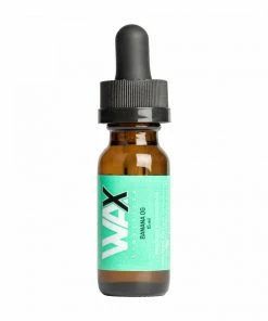 West Coast Gifts New Arrivals Wax Liquidizer & Accessories