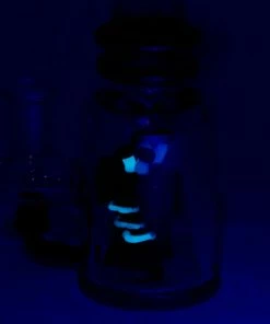 Empire Glassworks - UV Renew The Redwood Mini Tube Bong