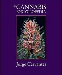 BOB Headquarters Cannabis Encyclopedia, The - Jorge Cervantes